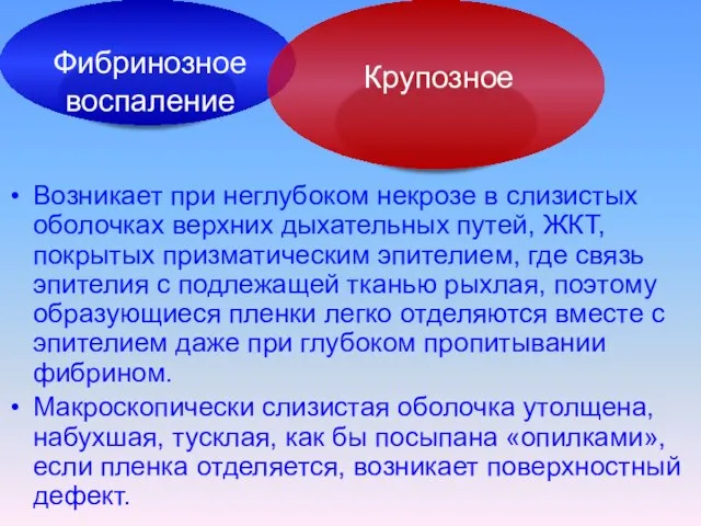 Возникает при неглубоком некрозе в слизистых оболочках верхних дыхательных путей, ЖКТ,