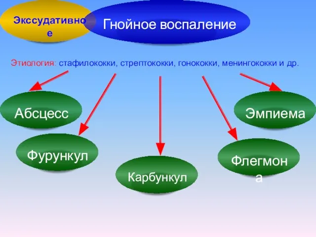 Этиология: стафилококки, стрептококки, гонококки, менингококки и др.