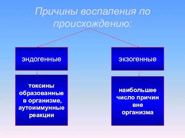 Причины воспаления по происхождению: эндогенные экзогенные токсины образованные в организме, аутоиммунные