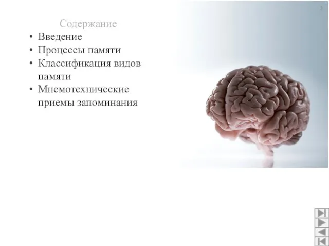 Содержание Введение Процессы памяти Классификация видов памяти Мнемотехнические приемы запоминания