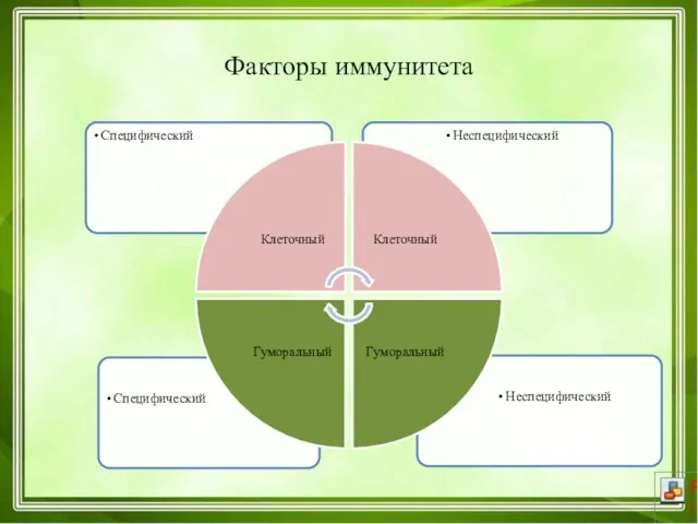 Факторы иммунитета