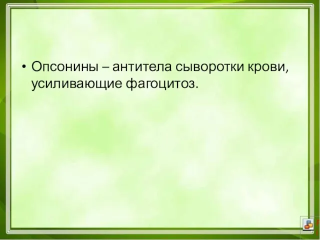 Опсонины – антитела сыворотки крови, усиливающие фагоцитоз.