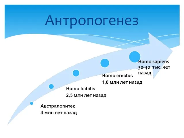 Антропогенез