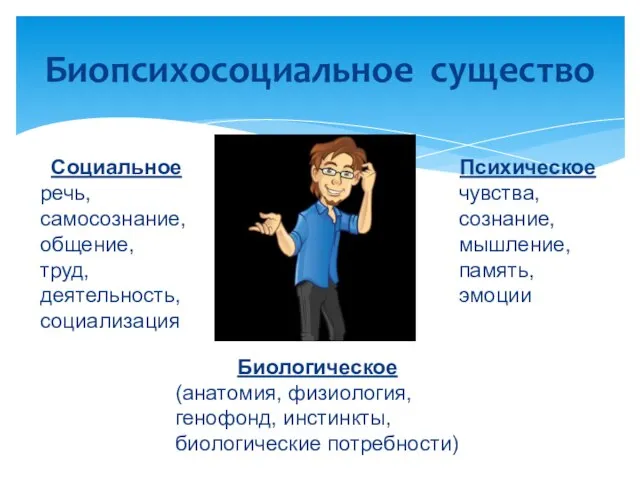 Биопсихосоциальное существо Социальное речь, самосознание, общение, труд, деятельность, социализация Психическое чувства,