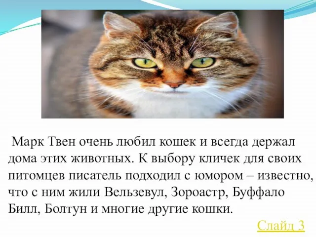 Марк Твен очень любил кошек и всегда держал дома этих животных.