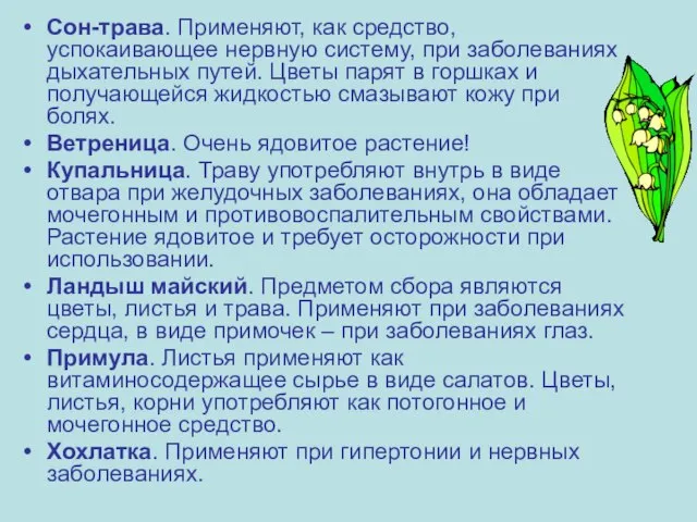 Сон-трава. Применяют, как средство, успокаивающее нервную систему, при заболеваниях дыхательных путей.