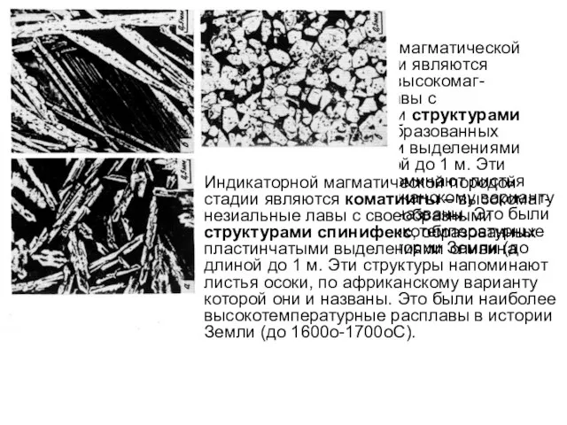 Индикаторной магматической породой стадии являются коматииты – высокомаг-незиальные лавы с своеобразными