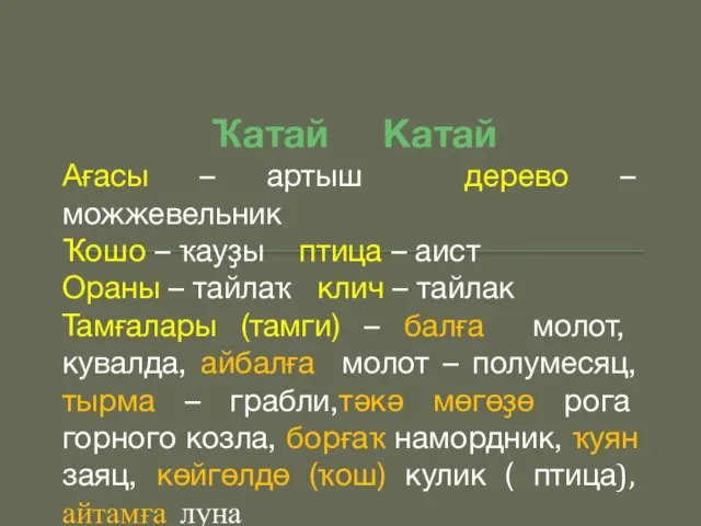 Ҡатай Катай Ағасы – артыш дерево – можжевельник Ҡошо – ҡауҙы