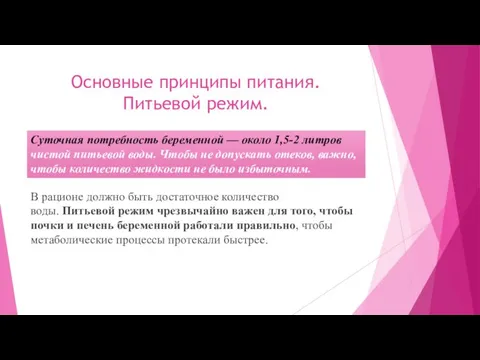 Основные принципы питания. Питьевой режим. В рационе должно быть достаточное количество