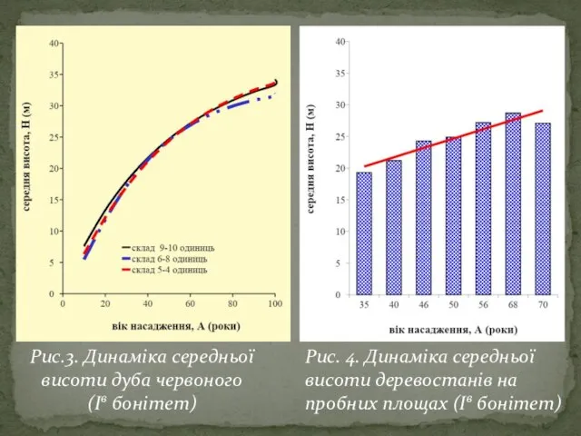 Рис.3. Динаміка середньої висоти дуба червоного (Iв бонітет) Рис. 4. Динаміка