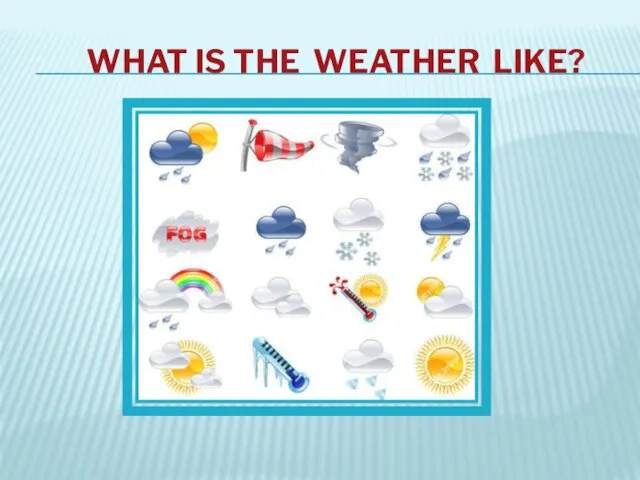 WHAT IS THE WEATHER LIKE?