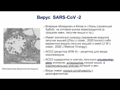 Вирус SARS-CoV -2 Впервые обнаружен в Китае в г.Ухань (провинция Хубэй)