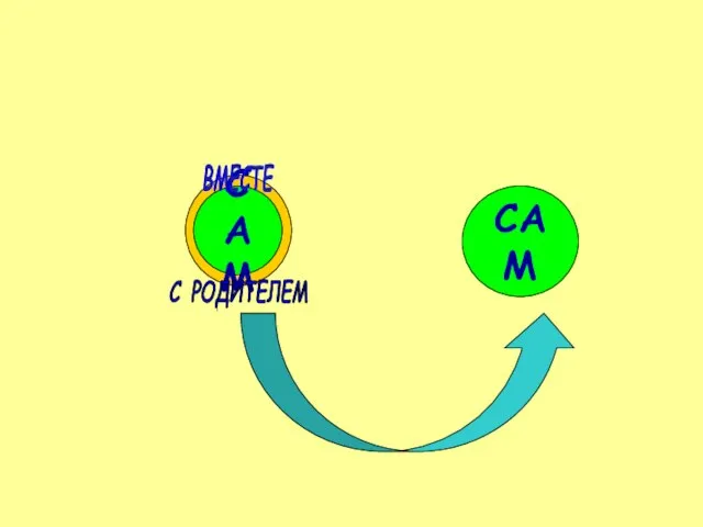 САМ САМ ВМЕСТЕ С РОДИТЕЛЕМ