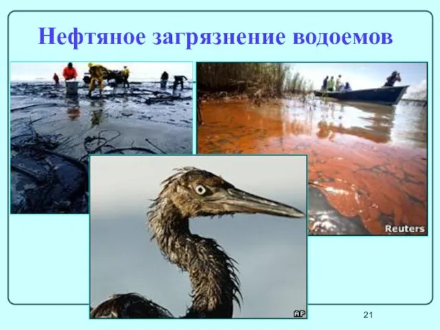 Нефтяное загрязнение водоемов