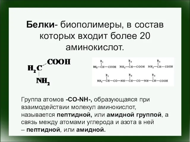 Белки- биополимеры, в состав которых входит более 20 аминокислот. Группа атомов