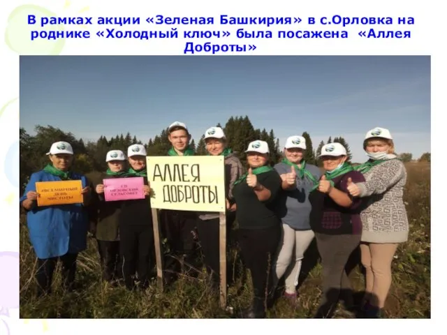 В рамках акции «Зеленая Башкирия» в с.Орловка на роднике «Холодный ключ» была посажена «Аллея Доброты»