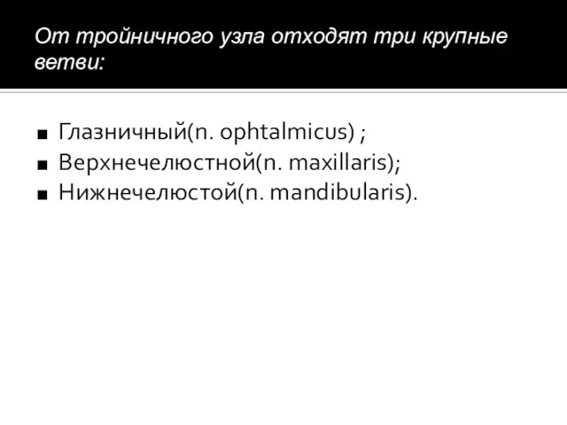 От тройничного узла отходят три крупные ветви: Глазничный(n. ophtalmicus) ; Верхнечелюстной(n. maxillaris); Нижнечелюстой(n. mandibularis).