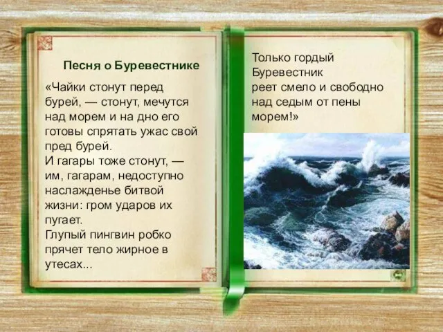 Песня о Буревестнике «Чайки стонут перед бурей, — стонут, мечутся над