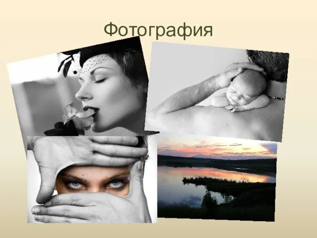 Фотография