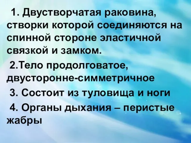 1. Двустворчатая раковина, створки которой соединяются на спинной стороне эластичной связкой