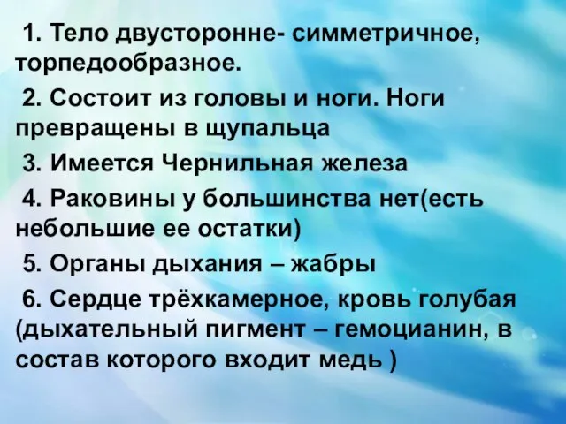 1. Тело двусторонне- симметричное, торпедообразное. 2. Состоит из головы и ноги.