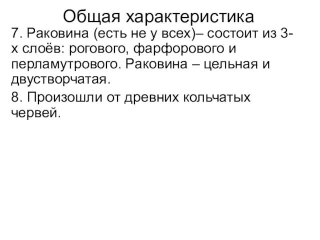 Общая характеристика 7. Раковина (есть не у всех)– состоит из 3-