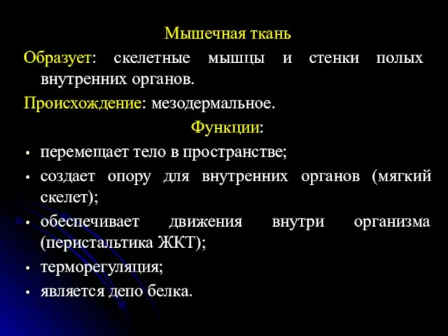 Мышечная ткань Образует: скелетные мышцы и стенки полых внутренних органов. Происхождение: