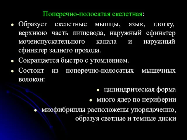 Поперечно-полосатая скелетная: Образует скелетные мышцы, язык, глотку, верхнюю часть пищевода, наружный