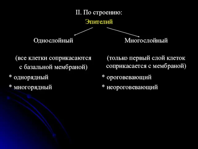 II. По строению: Эпителий