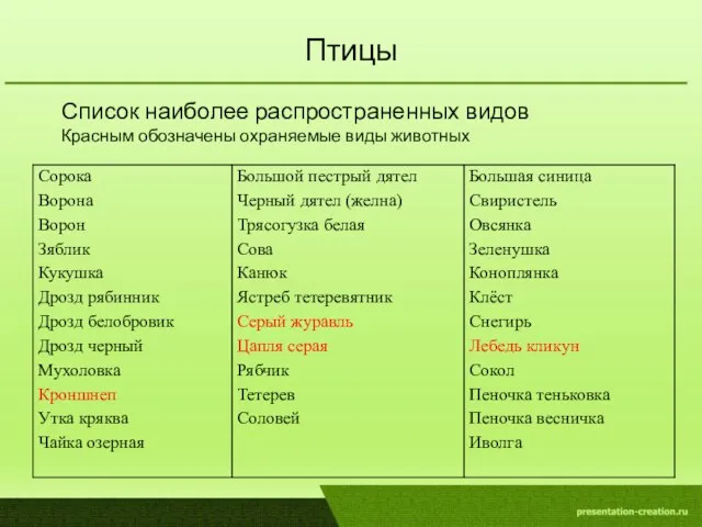 Список наиболее распространенных видов Красным обозначены охраняемые виды животных Птицы