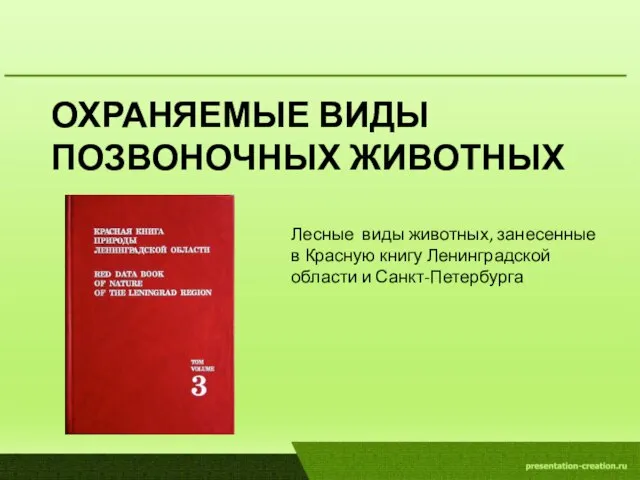 ОХРАНЯЕМЫЕ ВИДЫ ПОЗВОНОЧНЫХ ЖИВОТНЫХ Лесные виды животных, занесенные в Красную книгу Ленинградской области и Санкт-Петербурга