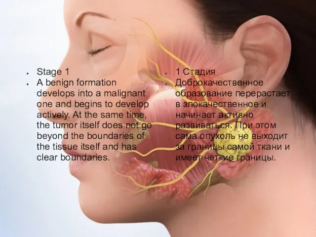 Stage 1 A benign formation develops into a malignant one and