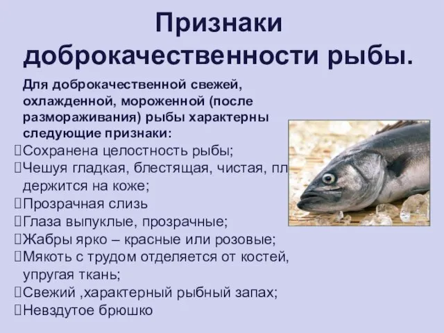 Признаки доброкачественности рыбы. Для доброкачественной свежей, охлажденной, мороженной (после размораживания) рыбы