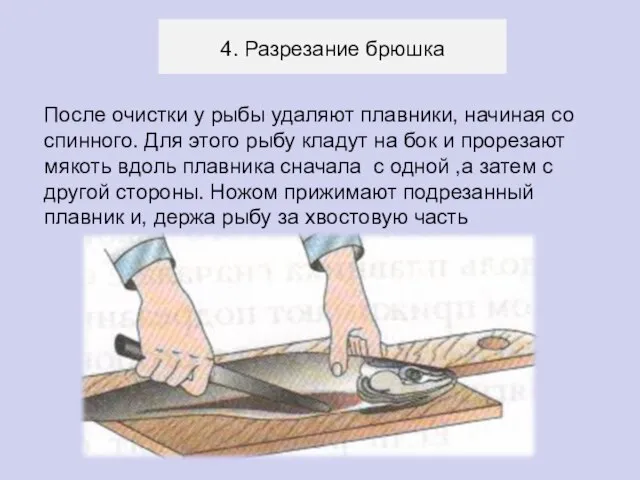 4. Разрезание брюшка После очистки у рыбы удаляют плавники, начиная со