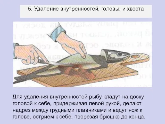 Для удаления внутренностей рыбу кладут на доску головой к себе, придерживая