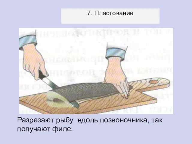 7. Пластование Разрезают рыбу вдоль позвоночника, так получают филе.