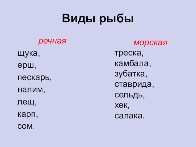 Виды рыбы речная щука, ерш, пескарь, налим, лещ, карп, сом. морская