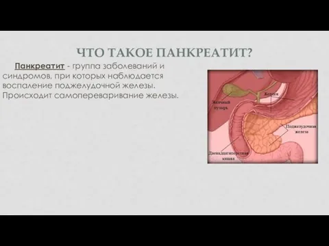 ЧТО ТАКОЕ ПАНКРЕАТИТ? Панкреатит - группа заболеваний и синдромов, при которых