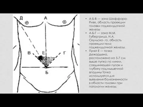 А-Б-В — зона Шоффара-Риве, область проекции головки поджелудочной железы А-Б-Г —