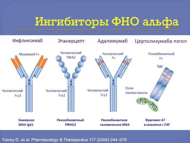 Ингибиторы ФНО альфа Tracey D. et al. Pharmacology & Therapeutics 117 (2008) 244–279