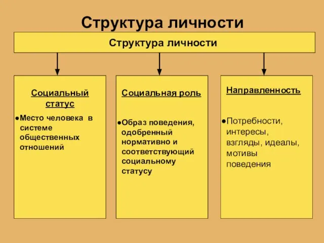 Структура личности Структура личности Социальный статус Место человека в системе общественных