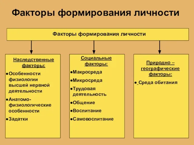 Факторы формирования личности Факторы формирования личности Наследственные факторы: Особенности физиологии высшей