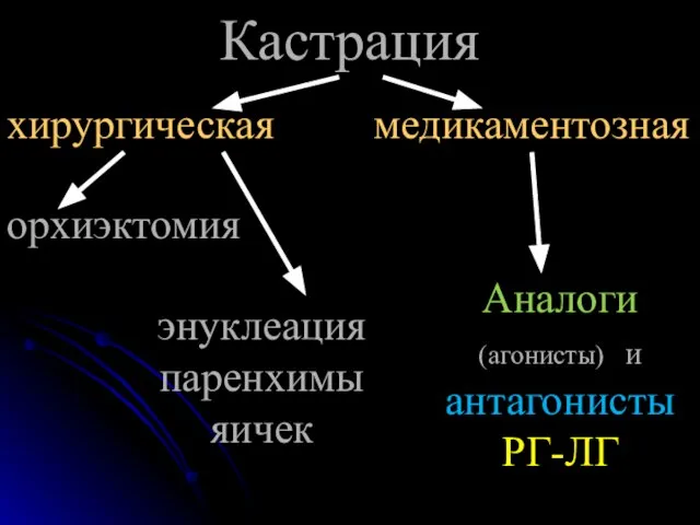 Кастрация хирургическая медикаментозная орхиэктомия энуклеация паренхимы яичек Аналоги (агонисты) и антагонисты РГ-ЛГ