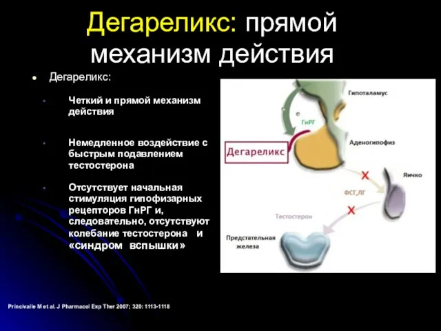 Дегареликс: прямой механизм действия Дегареликс: Четкий и прямой механизм действия Немедленное