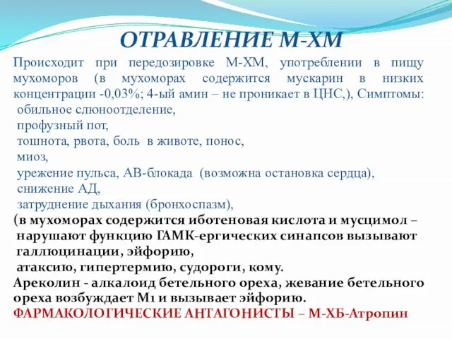 ОТРАВЛЕНИЕ М-ХМ Происходит при передозировке М-ХМ, употреблении в пищу мухоморов (в