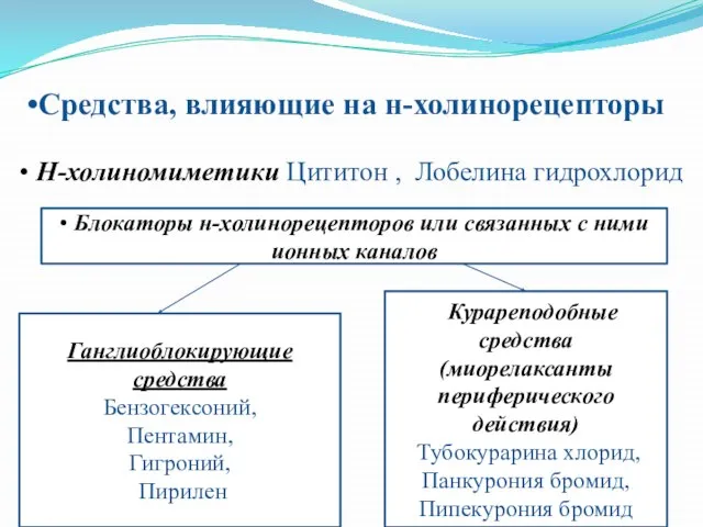 Средства, влияющие на н-холинорецепторы • Н-холиномиметики Цититон , Лобелина гидрохлорид Ганглиоблокирующие