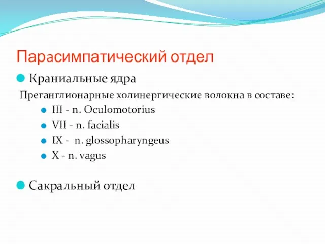 Парaсимпатический отдел Краниальные ядра Преганглионарные холинергические волокна в составе: III -