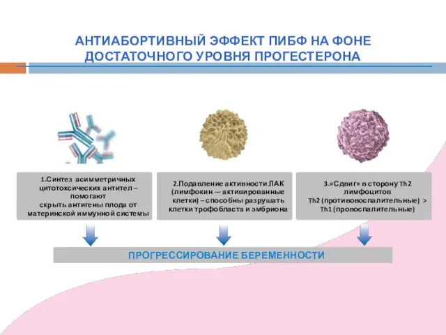 АНТИАБОРТИВНЫЙ ЭФФЕКТ ПИБФ НА ФОНЕ ДОСТАТОЧНОГО УРОВНЯ ПРОГЕСТЕРОНА 1.Синтез асимметричных цитотоксических