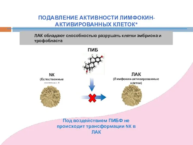 NK (Естественные киллеры) ЛАК (Лимфокин-активированные клетки) ЛАК обладают способностью разрушать клетки