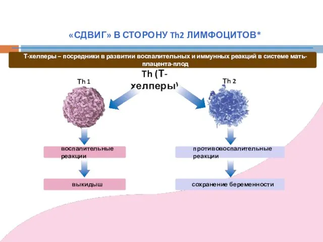 Th (Т-хелперы) Тh 1 Тh 2 Т-хелперы – посредники в развитии